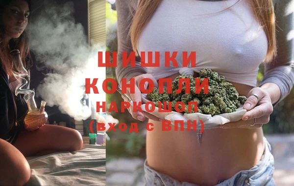 индика Зерноград