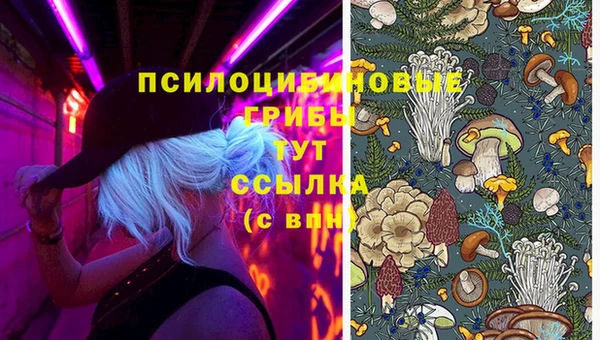 mix Няндома