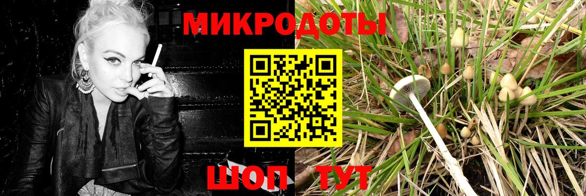 Галлюциногенные грибы Cubensis  Вход с VPN  Менделеевск  Псилоцибиновые грибы GOLDEN TEACHER 