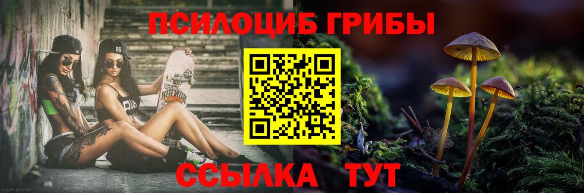 Псилоцибиновые грибы Cubensis Менделеевск
